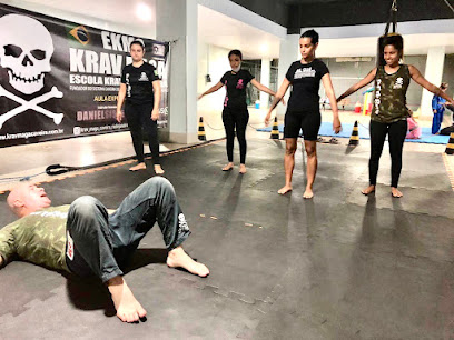 Sistema Brasileiro de Krav Maga e Defesa Pessoal