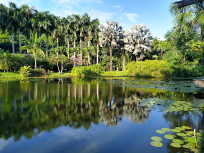 Lago Buriti