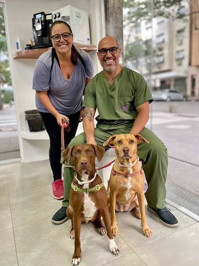 Animaleme Clínica Veterinária 24 horas